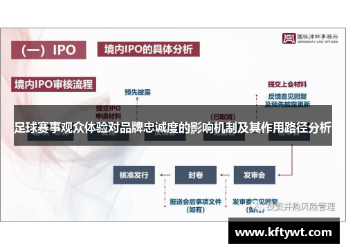 足球赛事观众体验对品牌忠诚度的影响机制及其作用路径分析